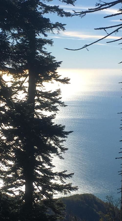 Гостевой дом Гостевой дом "МАТИС" Гагра