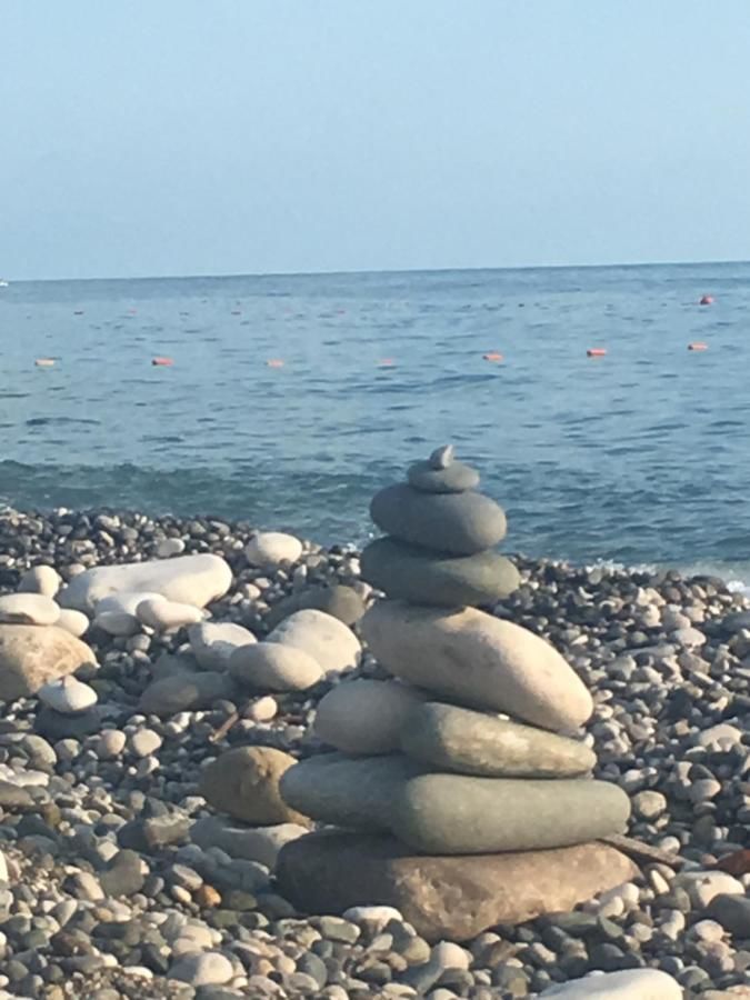 Гостевой дом Гостевой дом "МАТИС" Гагра-18