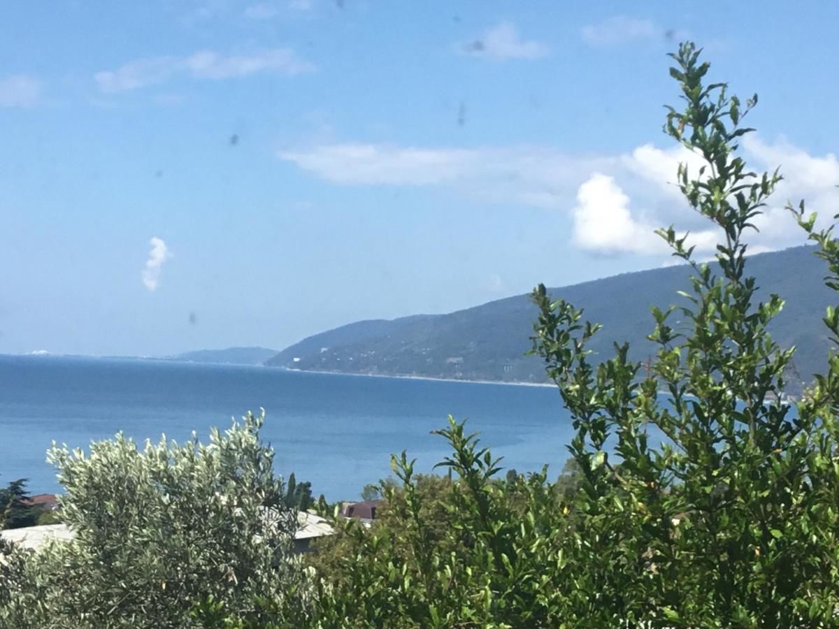 Гостевой дом Гостевой дом "МАТИС" Гагра