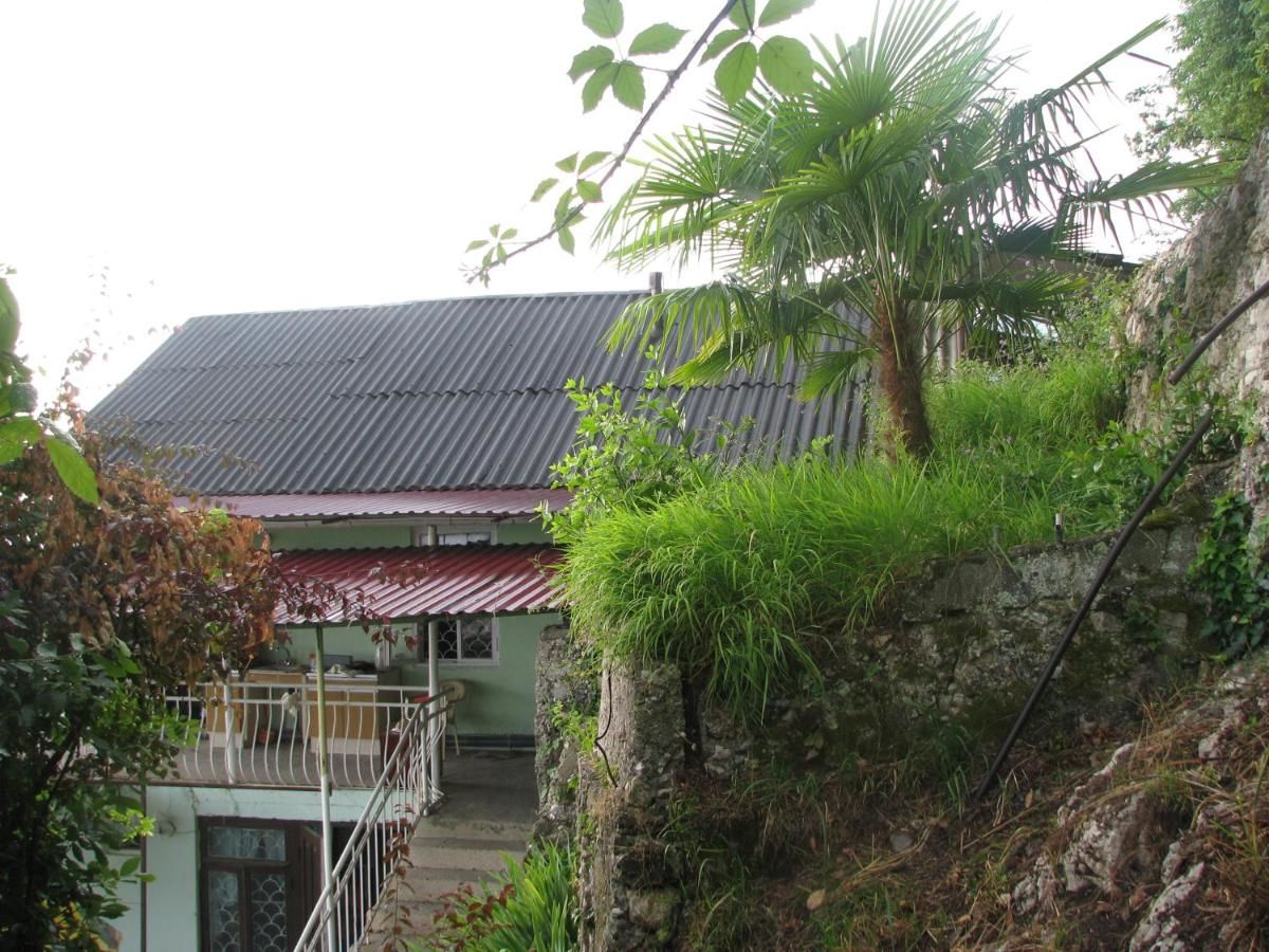 Гостевой дом Гостевой дом "МАТИС" Гагра-27